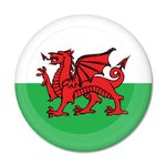 Welsh National Flag Badge