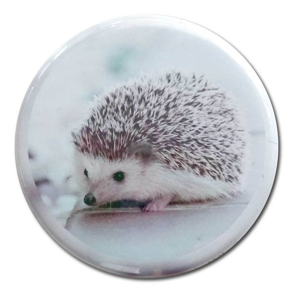 Button Badge with hedgehog photo print\\n\\n10/04/2022 09:02